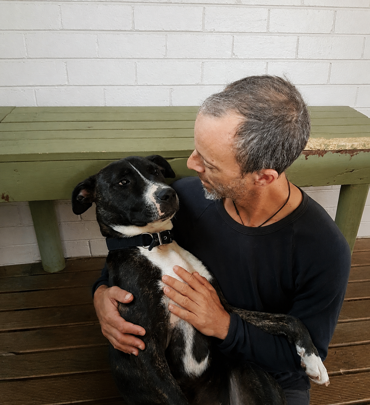 Russell sitting closely with a black and white dog